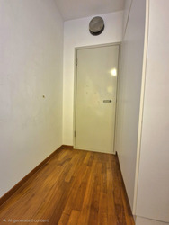 Loft @ Nathan (D10), Apartment #510606311